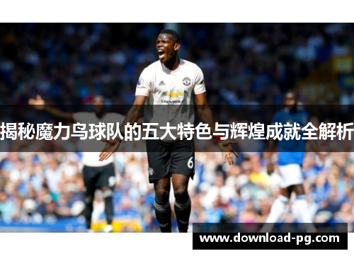 揭秘魔力鸟球队的五大特色与辉煌成就全解析