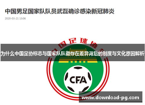 为什么中国足协标志与国家队队徽存在差异背后的制度与文化原因解析