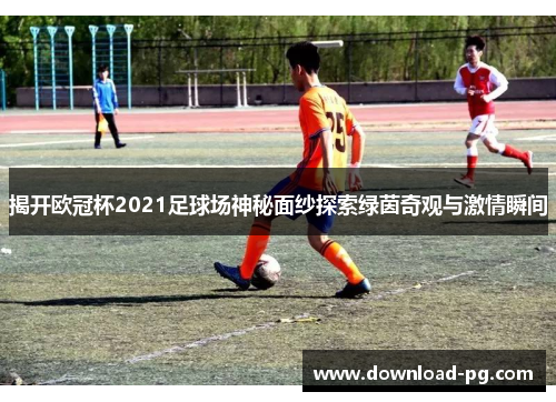 揭开欧冠杯2021足球场神秘面纱探索绿茵奇观与激情瞬间
