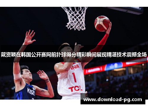 戴资颖在韩国公开赛网前扑球得分精彩瞬间展现精湛技术震撼全场 戴资颖在韩国公开赛网前扑球得分精彩瞬间展现精湛技术震撼全场