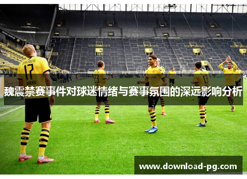 魏震禁赛事件对球迷情绪与赛事氛围的深远影响分析